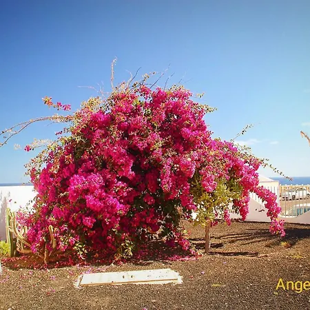 Apartament Casa Islands Paradise Costa De Antigua